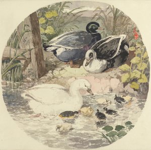 Enten