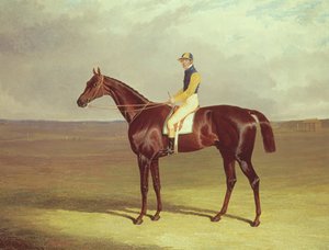 Mr. M. Stanleys Krücke auf Newmarket Heath, 1833