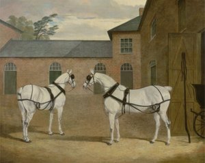 Mr. Sowerbys graue Kutschpferde in seinem Kutschenhof in Putteridge Bury, Hertfordshire, 1836