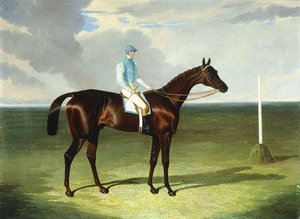 Mssrs. Ridsdales und Gullys St. Giles mit William Scott, 1832