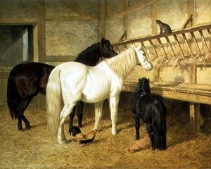 Ponys an der Krippe