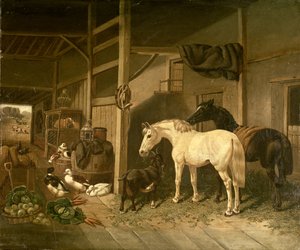 Stallinterieur