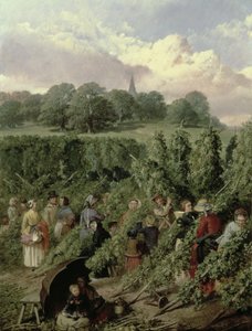 Die Hopfenpflücker