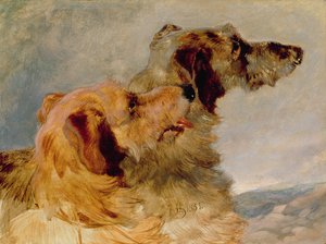 Zwei Hirschhunde, 1851