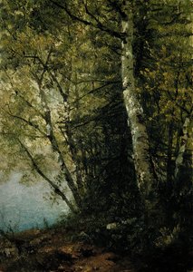 Studie von Buchen, 1872