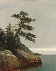 Die alte Kiefer, Darien, Connecticut von John Frederick Kensett