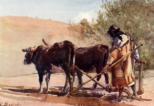Pflügen auf dem Ölberg, 1902