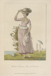 Weibliche Quadroon-Sklavin von Surinam von John Gabriel Stedman