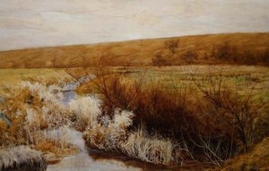 Eine Wiese im Winter