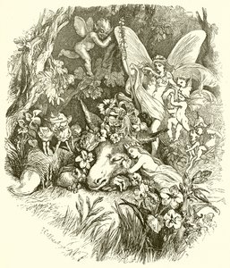 Ein Sommernachtstraum