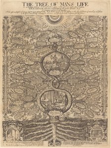 Der Baum des menschlichen Lebens von John Goddard, after Richard Dey