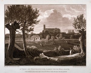 Ansicht von Westminster von Millbank aus, London, 1807