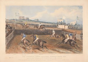 Eines von vier: Das große National Steeple-Chase von Liverpool