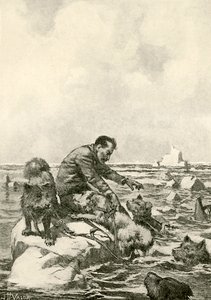 Dr. Grenfell treibt auf einer Eisscholle