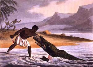 Die afrikanischen Krokodiljäger, graviert von Matthew Dubourg (fl. 1785-1820), veröffentlicht von Edward Orme von John Heaviside (after) Clark