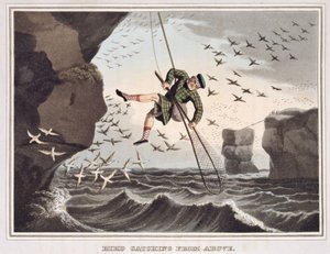 Vogeljagd von oben, graviert von Matthew Dubourg, veröffentlicht von Edward Orme, 1813