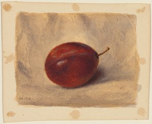 Pflaume von John Henry Hill