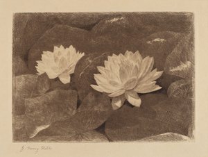Seerosen von John Henry Hill