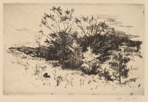 Herbst Avondale von John Henry Twachtman