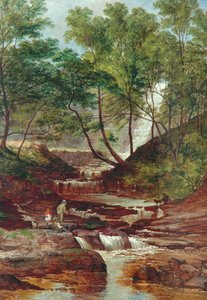 Cat Holes Dam Fall in Todmorden von John Holland