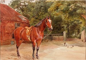 Stallhof mit Pferd