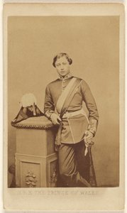 S.K.H. Der Prinz von Wales von John Jabez Edwin Mayall