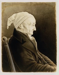 Henri De Gallon, 1819 (Kreide und Pastell auf Papier) von John James Audubon