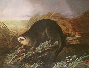Otter in einer Falle gefangen von John James Audubon