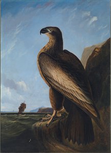 Washington-Seeadler, ca. 1836-1839