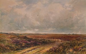 Stürmischer Tag auf einem Surrey Common, 19.-20. Jahrhundert, 1935 von John Jessop Hardwick