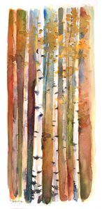 Birken im Herbst, 2013 von John Keeling