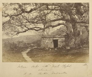 Valonea-Eichen mit griechischer Kapelle darüber. B.H. Renkioi, Dardanellen von John Kirk