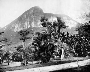 Botanische Gärten und der Berg Corcovado, Rio de Janeiro, Brasilien, 1893 von John L. Stoddard