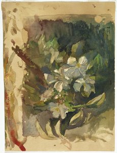 Apfelblüten im Sonnenlicht von John La Farge or Lafarge