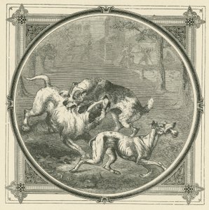Die Hunde und der Knochen von John Leighton