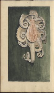 Lindsay Zeichnungen Vol. VII, 28 von John Lindsay