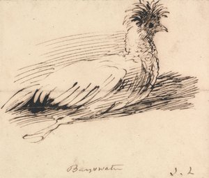 Ein Huhn von John Linnell