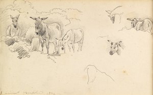 Esel, 1824 von John Linnell