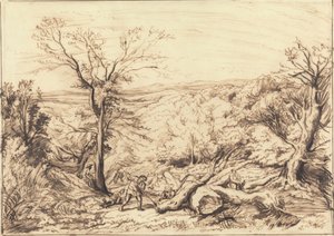 Holzfäller in einem Wald