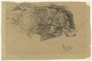 Studien eines Leoparden von John Macallan Swan