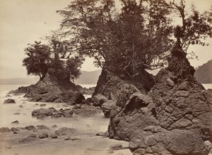 Tropische Landschaft, Limon Bay - Ebbe, 1871