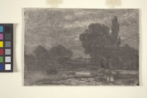 Sumpflandschaft von John Otis Adams
