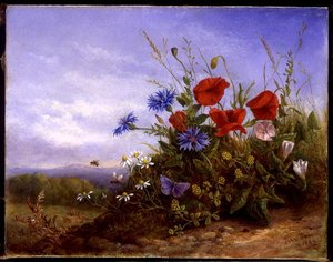Wildblumen auf einem Ufer