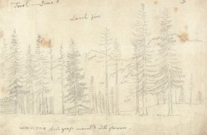 In Tirol von John Robert Cozens