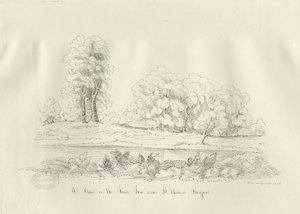 Stafford - Fluss Sow