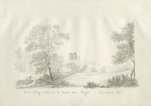 Stafford Schloss - In der Nähe der Newport Road von John Robert Fernyhough