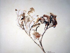 Studie von Eichenblättern von John Ruskin
