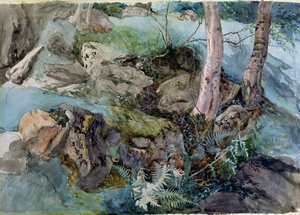 Studie von Felsen und Farnen in einem Wald bei Crossmount, Perthshire, 1843 von John Ruskin