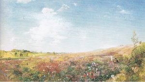 Sommerlandschaft