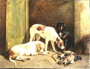 Zeigerhunde und ein Gordon Setter